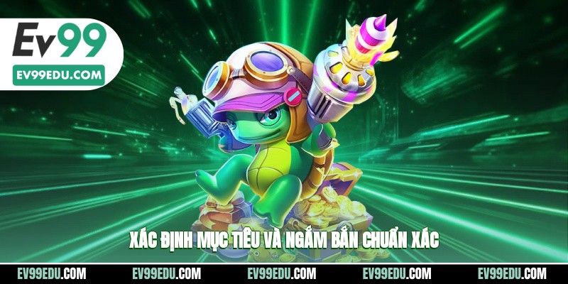 Xác định mục tiêu và ngắm bắn chuẩn xác